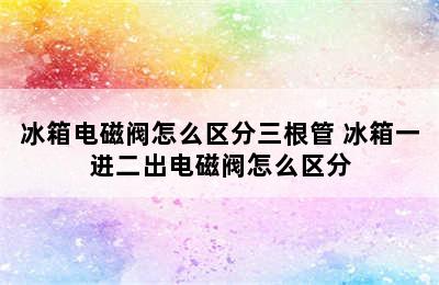 冰箱电磁阀怎么区分三根管 冰箱一进二出电磁阀怎么区分